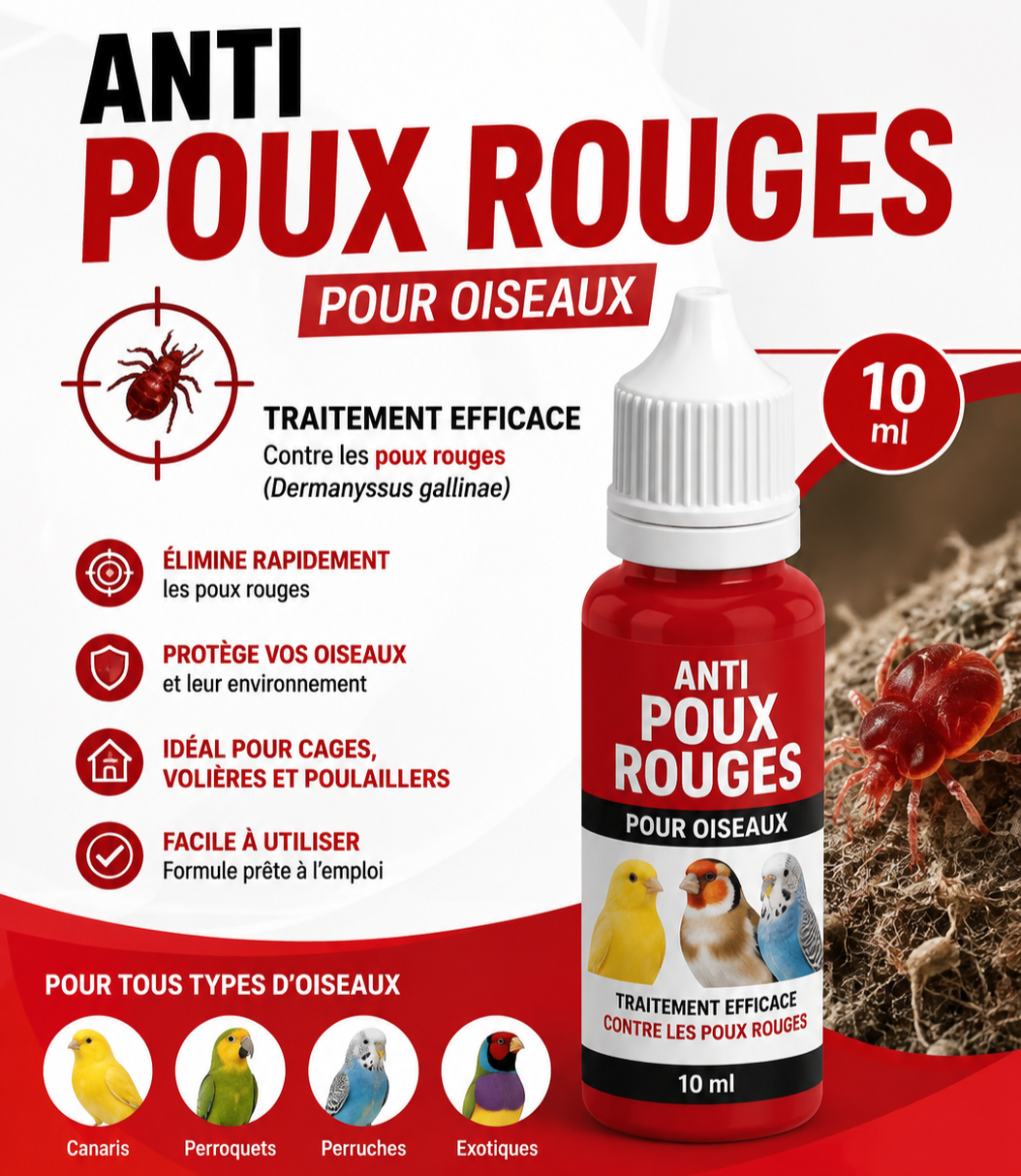 EXZOLT 10 ML