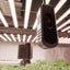2025 Spider Farmer Genius Grow System SensorPro Set avec capteur CO₂ et compteur PAR - idéal pour optimiser les tentes et les salles de culture SPIDER FARMER